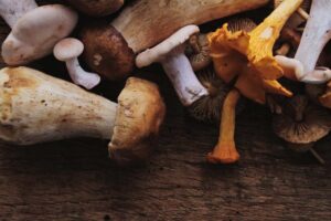 Funghi