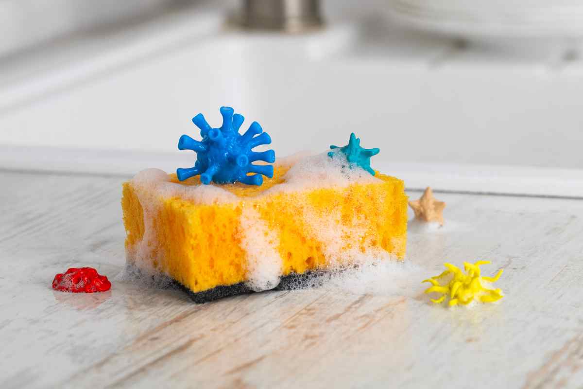 spugna da cucina con sopra e attorno microbi