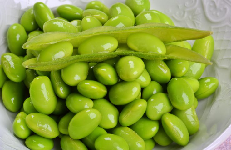 Della soia cruda in un piatto