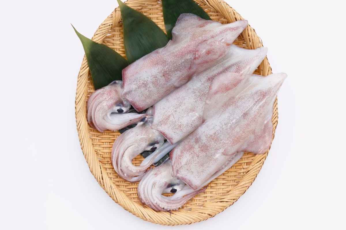 calamari