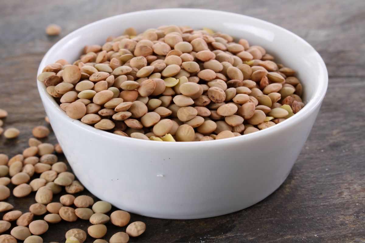 lenticchie secche