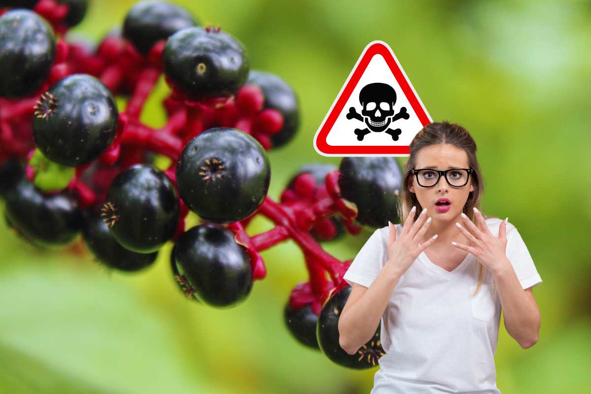 bacche velenose segnale pericolo di morte donna preoccupata
