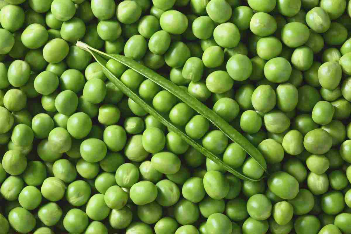 piselli