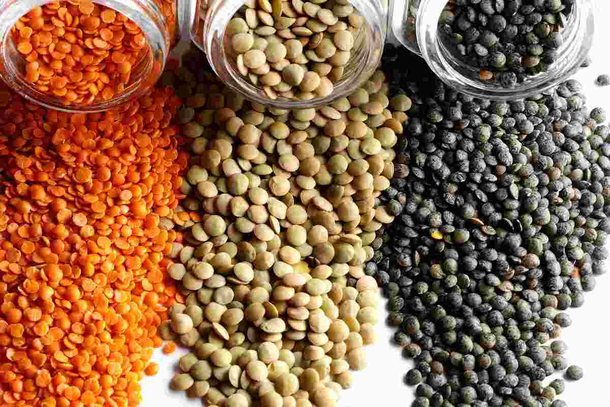 varietà di lenticchie