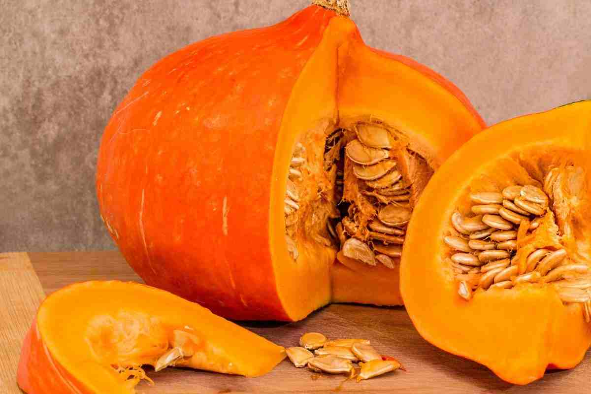 zucca