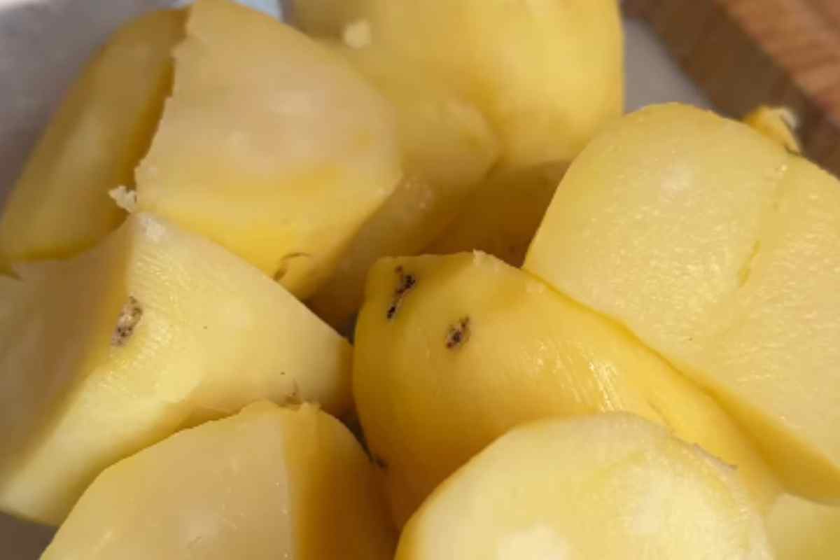 patate lesse