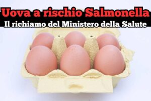 scritta uova a rischio salmonella il richiamo del ministero della salute, pacco uova