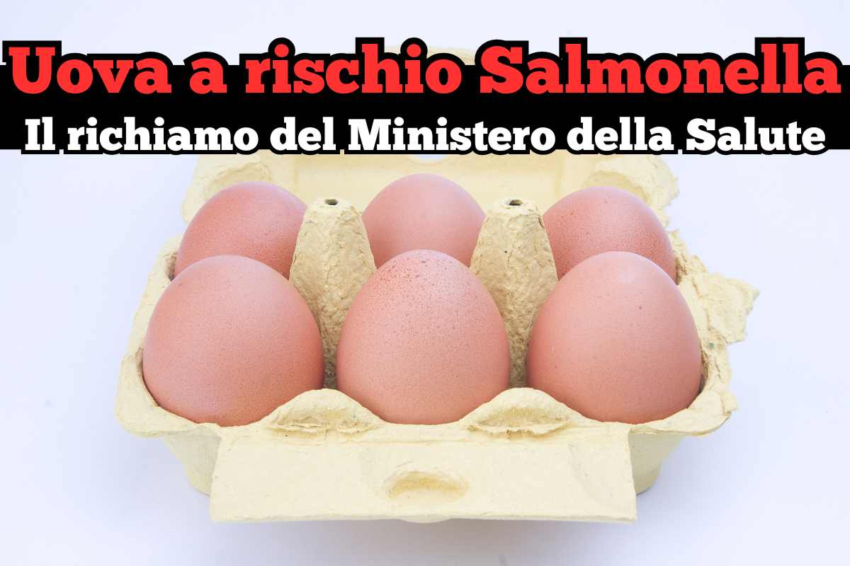 scritta uova a rischio salmonella il richiamo del ministero della salute, pacco uova